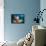 Variety of Sponges-Reinhard Dirscherl-Framed Premier Image Canvas displayed on a wall