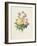 Variety of Yellow Roses and Bengal Roses-Pierre Joseph Redout?-Framed Giclee Print