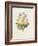 Variety of Yellow Roses and Bengal Roses-Pierre Joseph Redout?-Framed Giclee Print