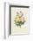 Variety of Yellow Roses and Bengal Roses-Pierre Joseph Redout?-Framed Giclee Print