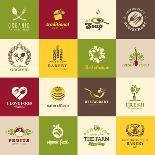 Set Of Icons For Organic Food-varijanta-Art Print