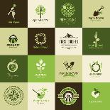 Set Of Icons For Organic Food-varijanta-Art Print