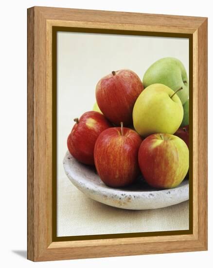 Various Apples on a Stone Plate-Bayside-Framed Premier Image Canvas