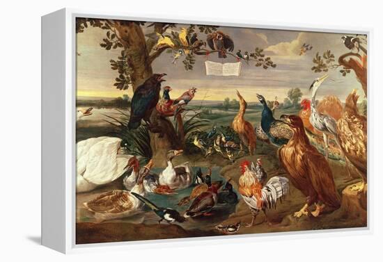 Various Birds-Frans Snyders Or Snijders-Framed Premier Image Canvas