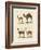 Various Camels-null-Framed Giclee Print