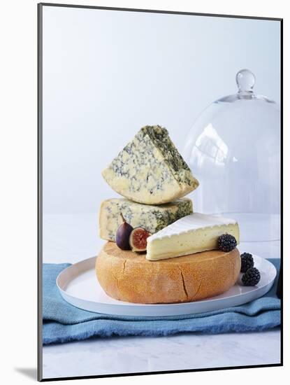 Various Cheeses on Cheese Platter with Figs, Blackberries-null-Mounted Photographic Print