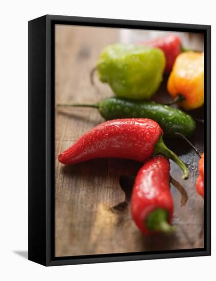 Various Chili Peppers with Drops of Water-null-Framed Premier Image Canvas