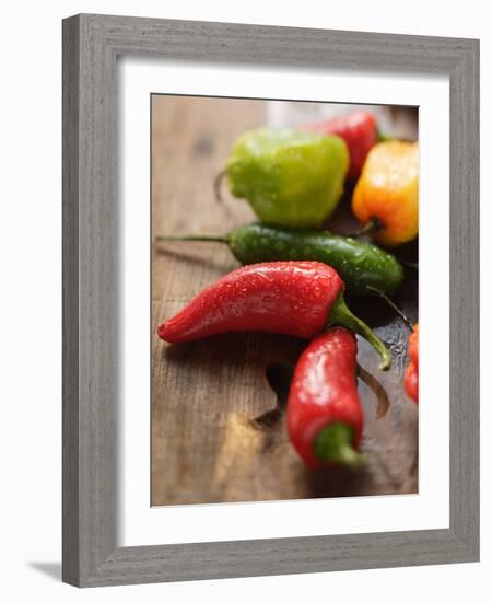 Various Chili Peppers with Drops of Water-null-Framed Photographic Print