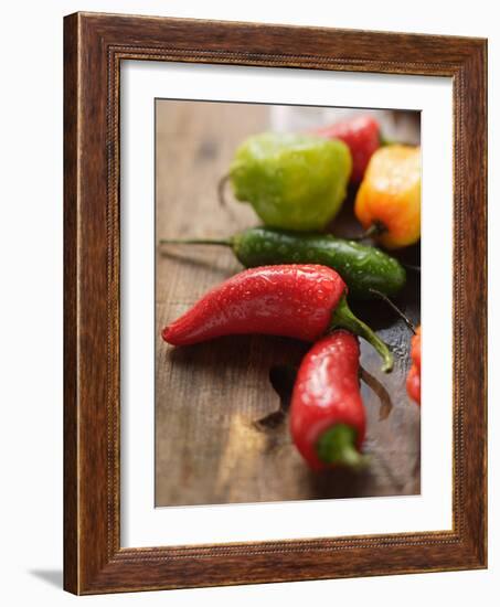 Various Chili Peppers with Drops of Water-null-Framed Photographic Print