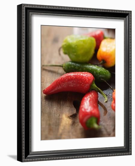 Various Chili Peppers with Drops of Water-null-Framed Photographic Print