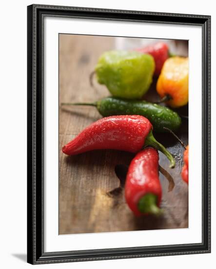 Various Chili Peppers with Drops of Water-null-Framed Photographic Print