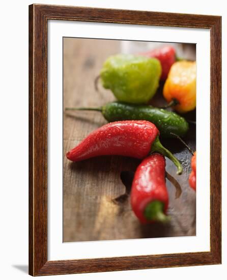 Various Chili Peppers with Drops of Water-null-Framed Photographic Print