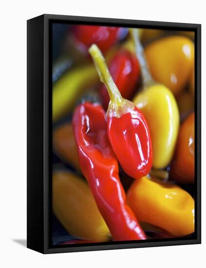 Various Chillies-Winfried Heinze-Framed Premier Image Canvas