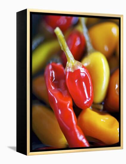 Various Chillies-Winfried Heinze-Framed Premier Image Canvas