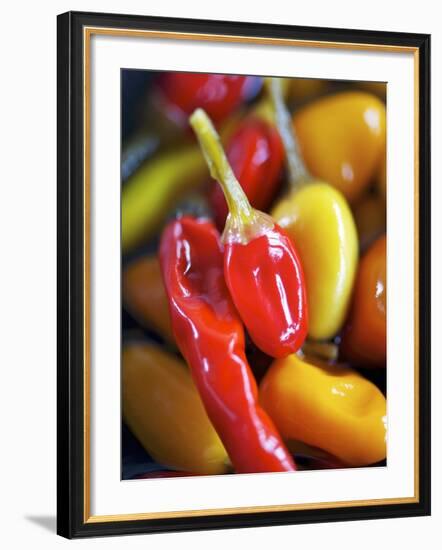 Various Chillies-Winfried Heinze-Framed Photographic Print