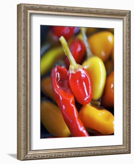 Various Chillies-Winfried Heinze-Framed Photographic Print