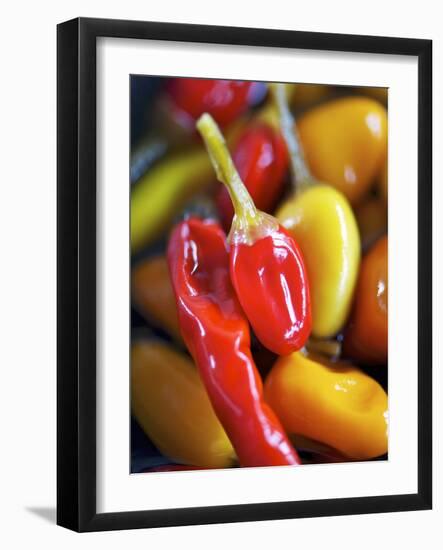 Various Chillies-Winfried Heinze-Framed Photographic Print