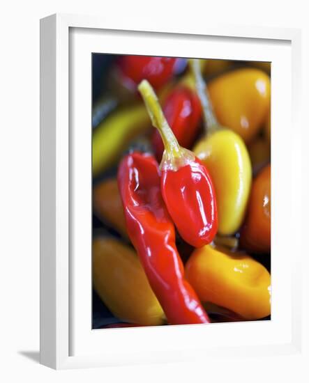 Various Chillies-Winfried Heinze-Framed Photographic Print