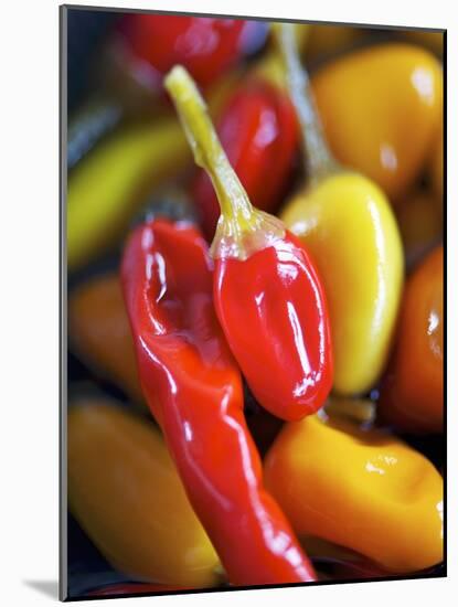 Various Chillies-Winfried Heinze-Mounted Photographic Print