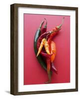 Various Chillies-Malgorzata Stepien-Framed Photographic Print