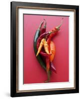 Various Chillies-Malgorzata Stepien-Framed Photographic Print