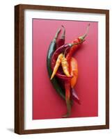 Various Chillies-Malgorzata Stepien-Framed Photographic Print