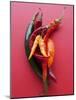 Various Chillies-Malgorzata Stepien-Mounted Photographic Print