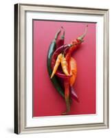 Various Chillies-Malgorzata Stepien-Framed Photographic Print