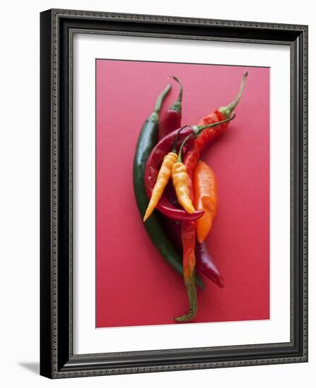 Various Chillies-Malgorzata Stepien-Framed Photographic Print