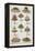 Various Cold Meat Dishes-Isabella Beeton-Framed Premier Image Canvas