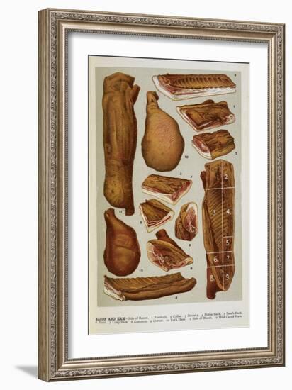 Various Cuts Of Bacon and Ham-Isabella Beeton-Framed Giclee Print