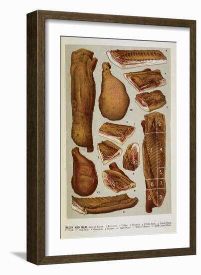 Various Cuts Of Bacon and Ham-Isabella Beeton-Framed Giclee Print
