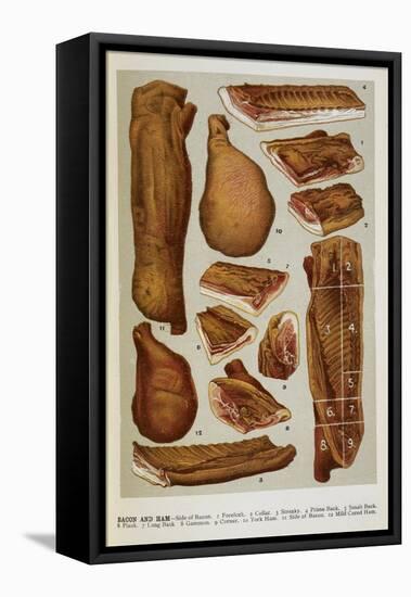 Various Cuts Of Bacon and Ham-Isabella Beeton-Framed Premier Image Canvas