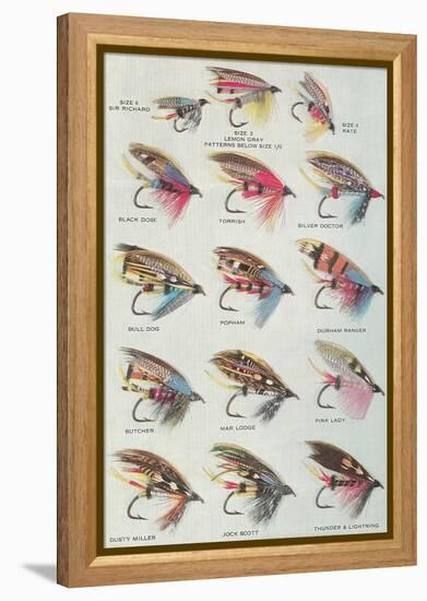 Various Dry Flies-null-Framed Stretched Canvas