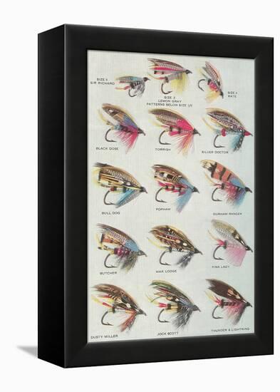 Various Dry Flies-null-Framed Stretched Canvas