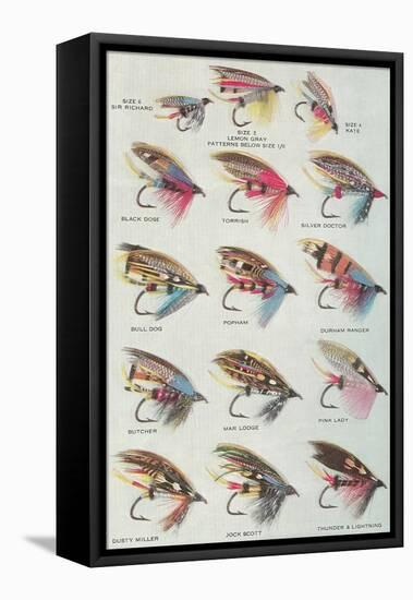 Various Dry Flies-null-Framed Stretched Canvas