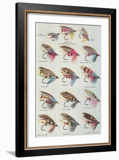 Various Dry Flies-null-Framed Premium Giclee Print