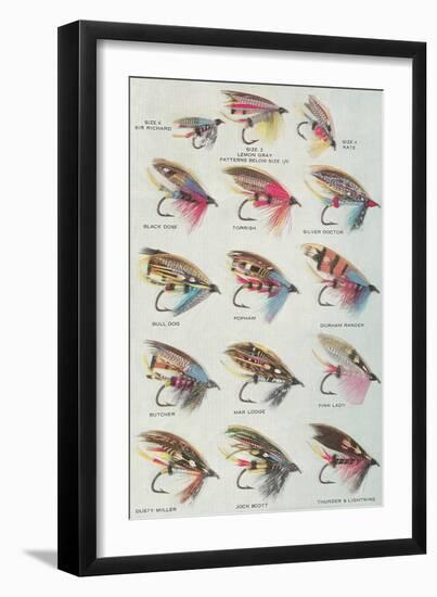 Various Dry Flies-null-Framed Art Print