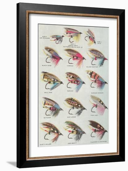 Various Dry Flies-null-Framed Art Print