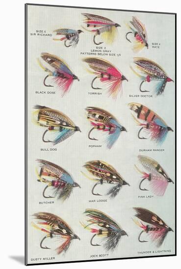 Various Dry Flies-null-Mounted Art Print