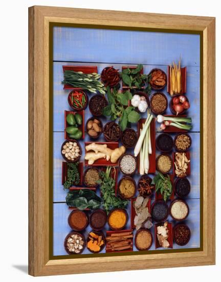 Various Exotic Herbs and Spices in Bowls-Alberto Cassio-Framed Premier Image Canvas