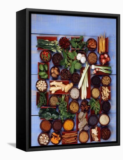 Various Exotic Herbs and Spices in Bowls-Alberto Cassio-Framed Premier Image Canvas