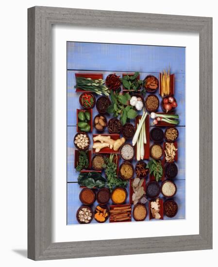 Various Exotic Herbs and Spices in Bowls-Alberto Cassio-Framed Photographic Print