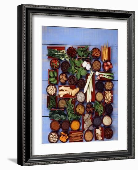 Various Exotic Herbs and Spices in Bowls-Alberto Cassio-Framed Photographic Print