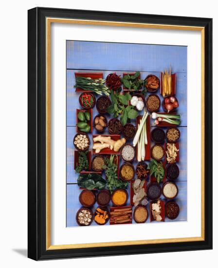 Various Exotic Herbs and Spices in Bowls-Alberto Cassio-Framed Photographic Print