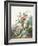 Various Flowers Growing in a Landscape Setting-Antoine Pascal-Framed Giclee Print