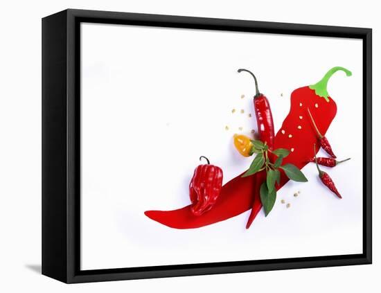 Various Fresh Chilli Peppers on a Picture of a Chilli Pepper-Bodo A^ Schieren-Framed Premier Image Canvas