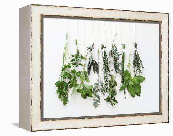 Various Fresh Herbs Hanging Up-Tanya Zouev-Framed Premier Image Canvas