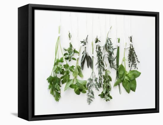 Various Fresh Herbs Hanging Up-Tanya Zouev-Framed Premier Image Canvas