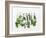 Various Fresh Herbs Hanging Up-Tanya Zouev-Framed Photographic Print
